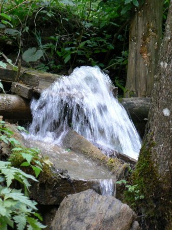 Vodeni tokovi_2008_014